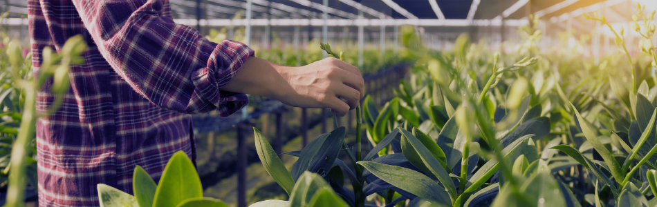 Agriculture Standards